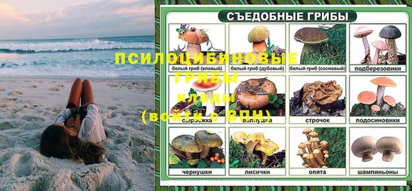 героин Алексин