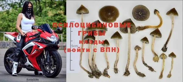 тгк Абдулино