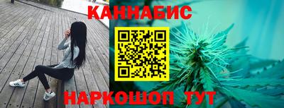 индика Владимир
