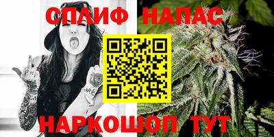 индика Владимир
