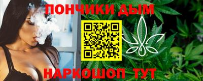 индика Владимир