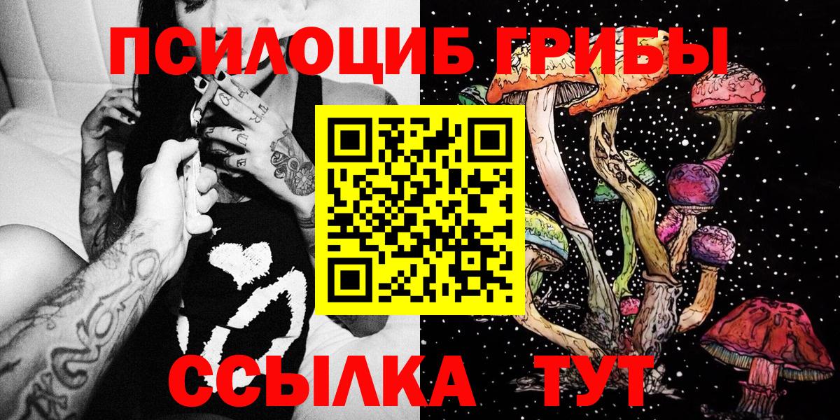 Псилоцибиновые грибы мицелий  Псилоцибиновые грибы мухоморы  Богданович  Вход с VPN 
